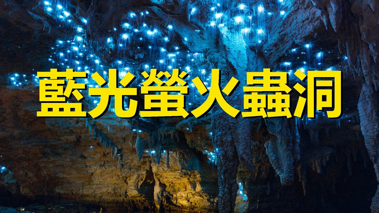 世界第九大自然奇蹟 藍光螢火蟲洞 130年前就開放旅遊的地下洞穴 新西蘭懷托摩螢火蟲洞 Waitomo New Zealand The Blue Glowworm Cave Youtube
