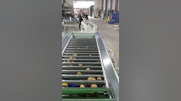 Potato sorting grading machine vegetable processing line roller adjustable size grader for sale