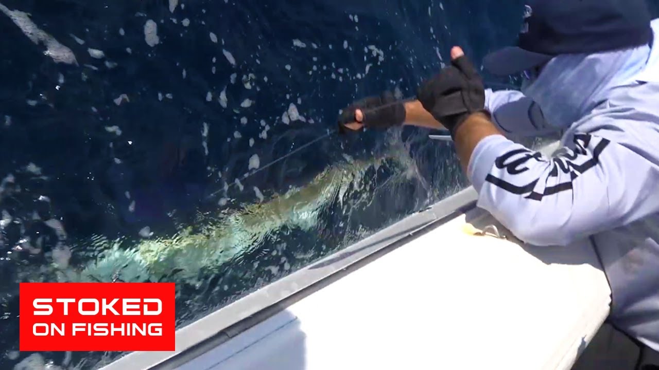 One of the Worlds Best Offshore Fishing Destinations, Mag Bay Stoked