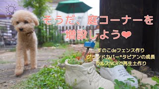 【ガーデニング＆DIY】タピアンの成長記録/簡単ガーデンフェンス作り/ふかふか再生土作り