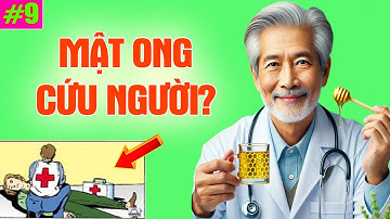 6 Điều Kỳ Diệu Từ Mật Ong Ít Người Ngờ Đến | Triết Lý Cuộc Sống