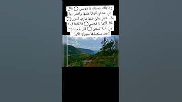 تلاوات مختارة