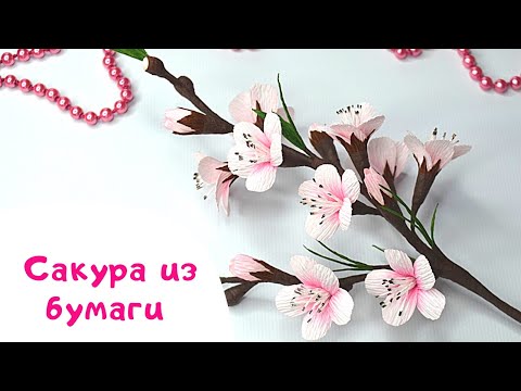 Ветка сакуры из гофрированной бумаги своими руками