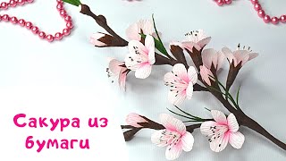 картинка: Сакура из гофрированной бумаги / Веточка сакуры / Sakura DIY