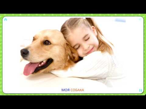 Карточки Домана. Развивающие мультики для самых маленьких. Местоимение