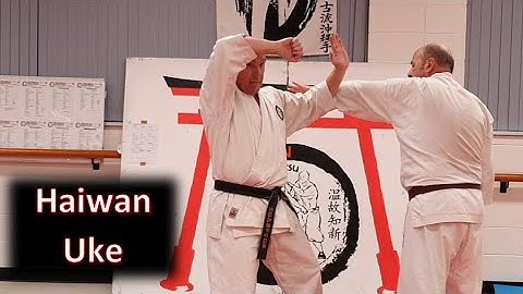 Haiwan Uke - Applications for first movements in Heian Nidan and Heian Yondan