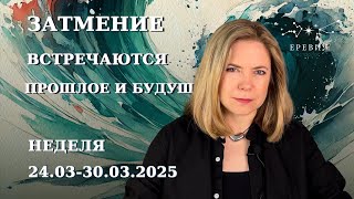 :  & : ,   ,    |  24-30  2025 | EREVICH