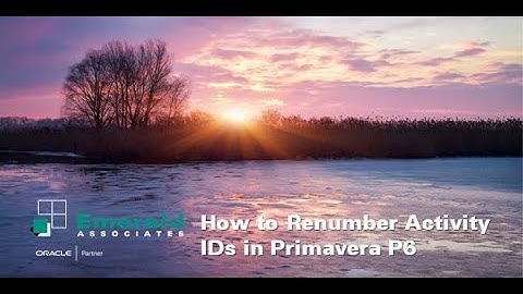 How to Renumber Activity IDs in Primavera P6