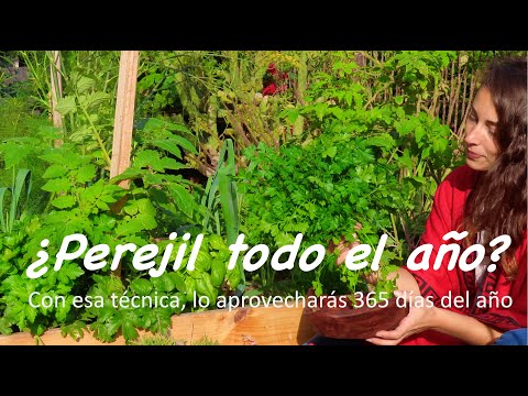 Video: Cómo podar azaleas: 7 pasos (con imágenes)