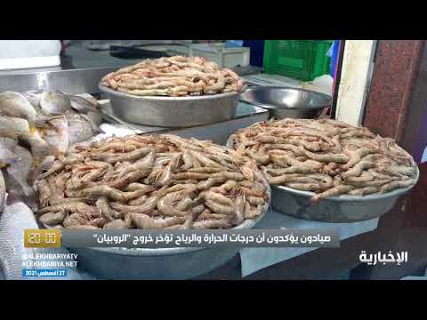 أسواق الشرقية تشهد قلة في المعروض وارتفاعا بالطلب على الروبيان