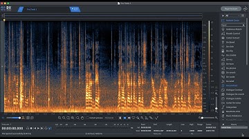 Audio Post Production: iZotope RX Advanced Techniques for Dialogue Editing