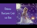 Планы Высших Сил на Вас