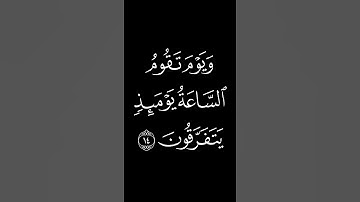 ما تيسر من سورة الروم #عبدالرحمن_ابوالعنين #المصحف #أحكام_التجويد