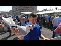 1 Selam Verdi,1 Kutu Kuş Aldı. İstanbul Edirne Kapı Şehitliği Durağı Karşısı,Sur İçi Kuş Pazarı.