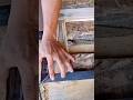 Cara pengerjaan kayu sederhana #woodworking #diy #tips #tools #tricks