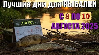 Стоит ли ехать на рыбалку в эти выходные? Узнай прогноз клева с 8 по 10 Августа 2025г.