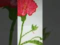 hibiscus flower 🌸#art #painting #shortvideo #shortsfeed #shortsviral .