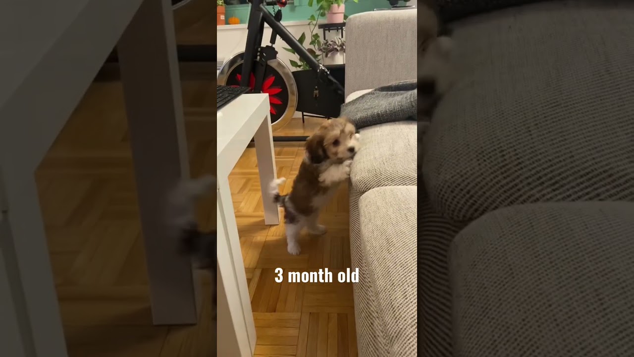 3 months vs One year later… 