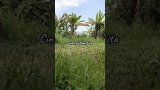 Download Lagu Iwan Salman - Cinta Ciptaan kita MP3