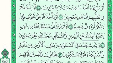 ســـــورة النحل كاملة مع القراءة من المصحف الشريف للقارئ ادريس ابكر جودة عالية نسخ جديدة