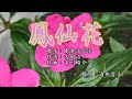 「鳳仙花(ほうせんか)」 島倉千代子 歌唱:酒井昌子