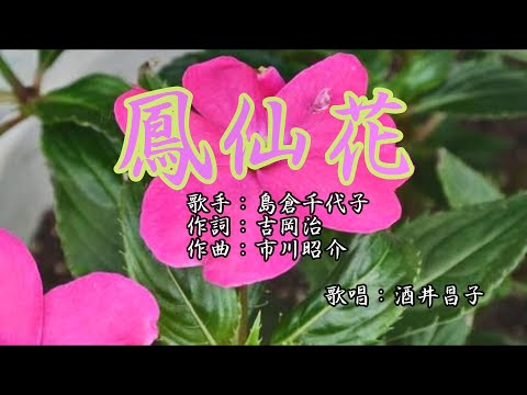 「鳳仙花（ほうせんか）」　島倉千代子　歌唱：酒井昌子