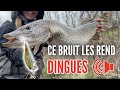 Un Leurre BRUYANT Pour Pêcher Le BROCHET En ÉTANG mp3