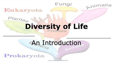 Introduction to life: Diversity of life