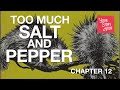 Too Much Salt And Pepper - Chapter 12