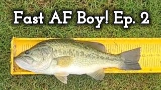 Fast AF Boy! Ep. 2 | Mug Shot Fish! | Memphis, Tn