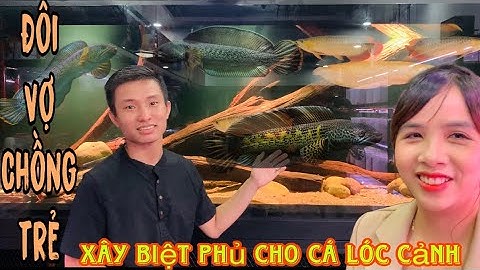 Đôi vợ chồng trẻ xây Biệt Phủ Cá LÓC Cảnh siêu đẹp tại Sài Gòn-Thái salem vê lốc