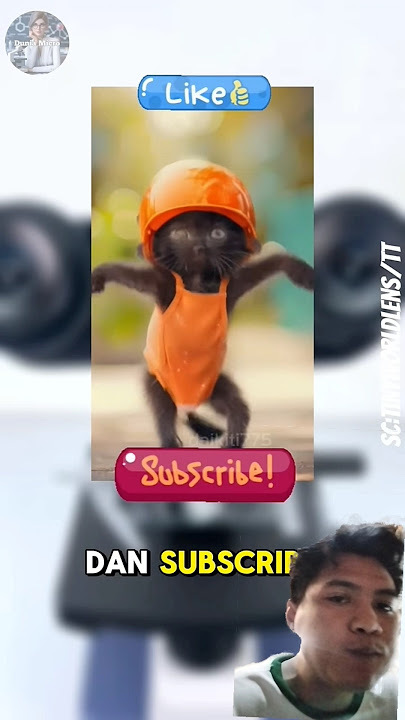 K4ndung4n b3d4k😱⁉️ #shorts #bedakviral #viral #trending #video #fypシ #youtubeshorts
