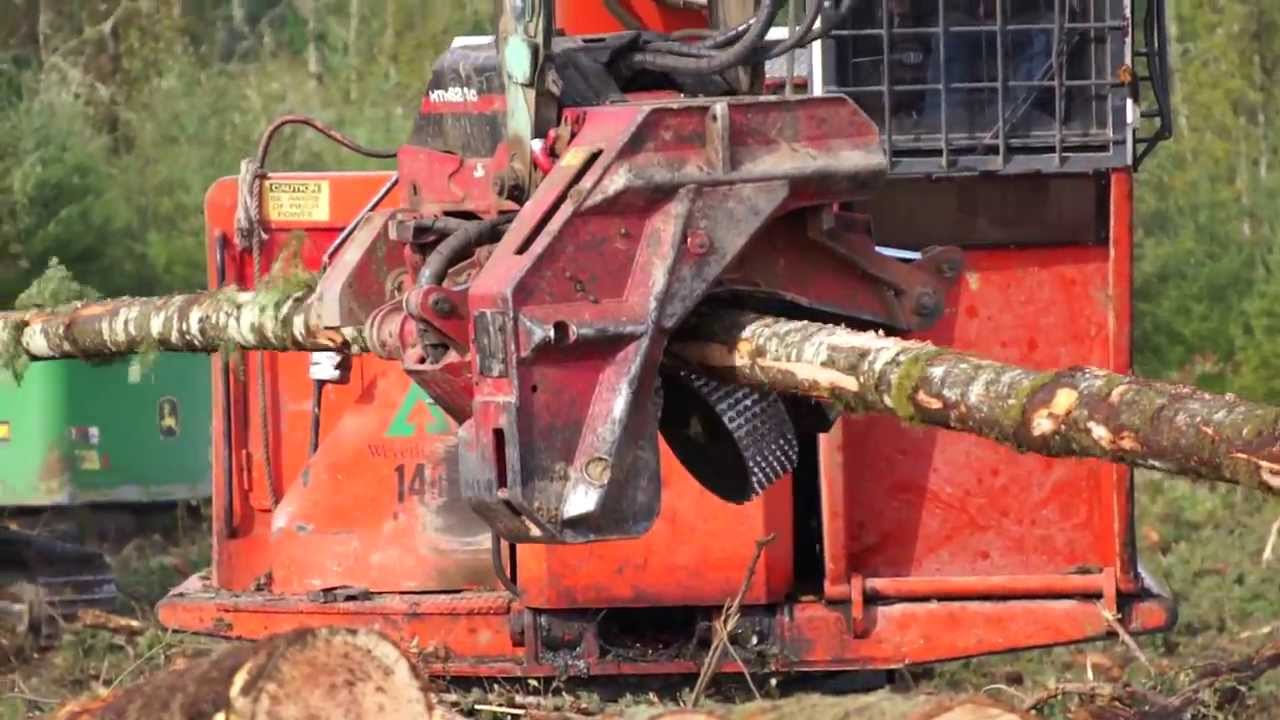 Visiting a Weyerhaeuser Logging Operation YouTube