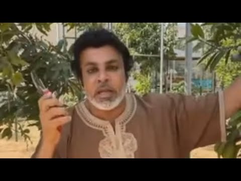 خالد الخالدي التقليم من اجل الازهار