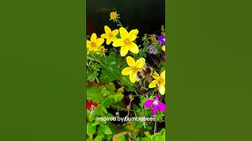 Berkeley engineers created the world’s smallest wireless flying robot!