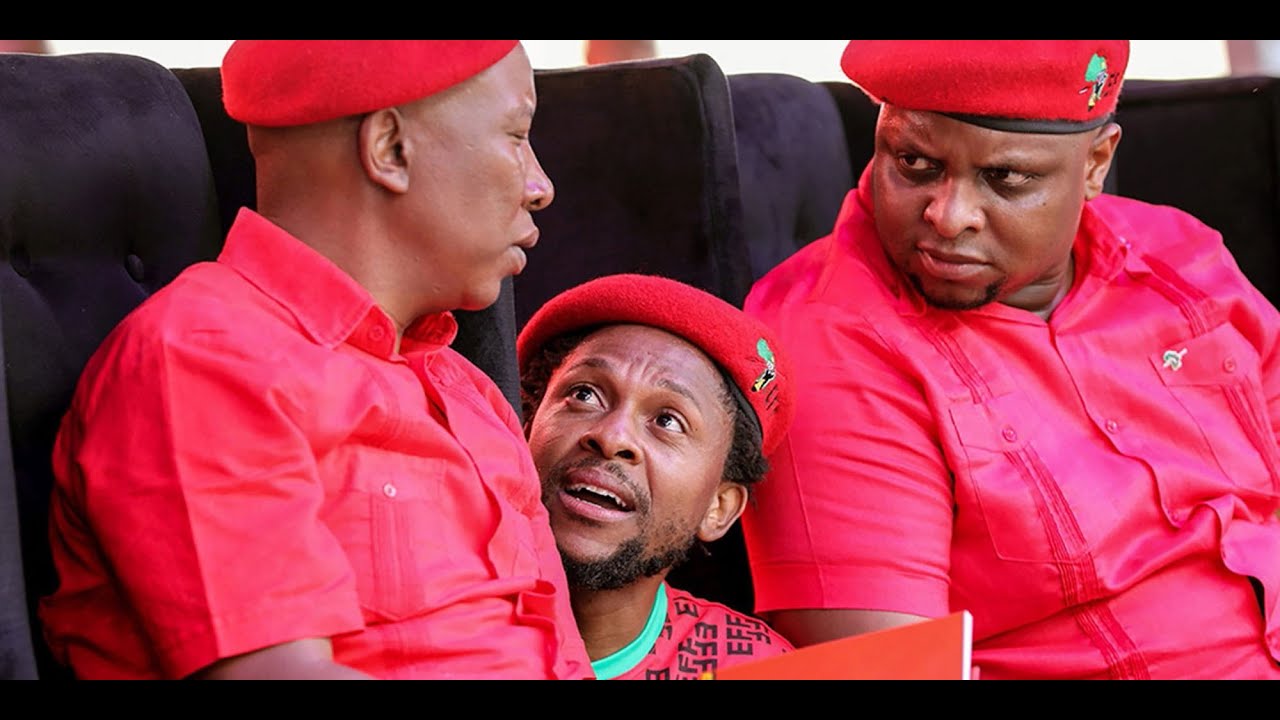 EFF Leaders Fight Suspension in Court | MALEMA, SHIVAMBU, DLAMINI, NDLOZI