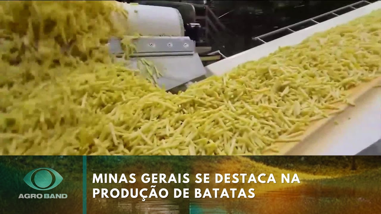 Minas Gerais é o maior estado produtor de batatas do país | Agro Band