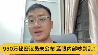 谁是Mr R950万秘密议员未公布蓝眼内部吵到乱阿耀闲聊政治