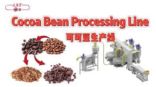 Unlock Single-Origin Secrets: LST's Low-Temp Cocoa Processing Lin