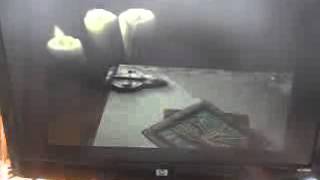 Amiga Os4.1 Gemrb Running Icewind Dale Extension How