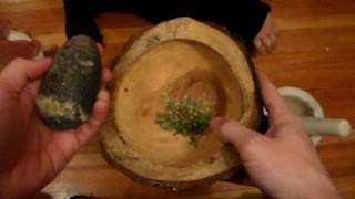 Foraging Edible Plants - Apothecary Medicine for Flu | Wild Food Episode 2