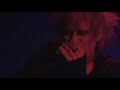 Sadie 「Voice of pain」LIVE (2007)