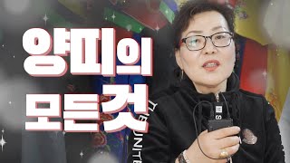 &#39;양띠 인생 컨설팅&#39; 양띠들 여기 여기 다 모여라~!! 하나부터 열까지 다 일러줄것이야! (천…
