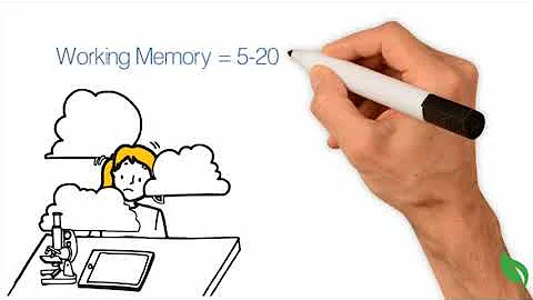 How Does Human Memory Work?
