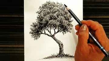 How to draw a tree by charcoal pencil/ real time drawing for beginners.