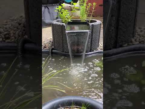 Video: Backyard Pond Waterfalls - So bauen Sie einen Teichwasserfall im Garten