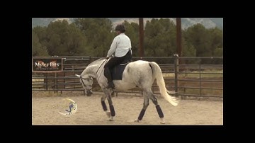 Myler Bits: Progressing from a combination bridle to a legal bit