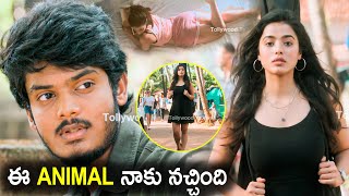 Akash Puri And Ketika Sharma New Telugu Ultimate Scene | Tollywood Talkies