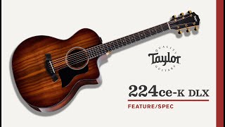 Taylor Guitars | 224ce-K DLX | Feature/Spec Demo