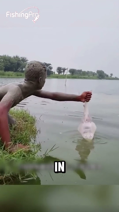 #fishing #fish